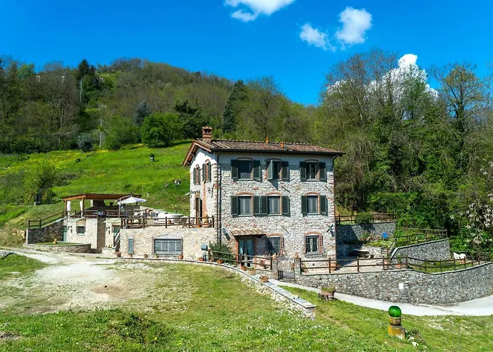 Fenice - Elegant 보르고 아 모짜노